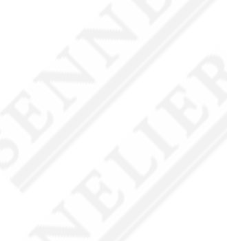 Sennelier - étude de cas - Chez Pixel - agence web rennes